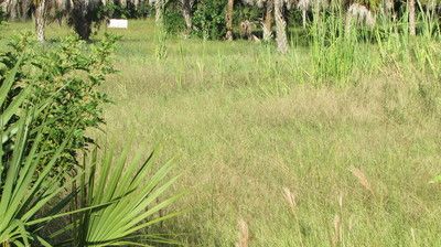 14 14th St, Haines City, FL 33844